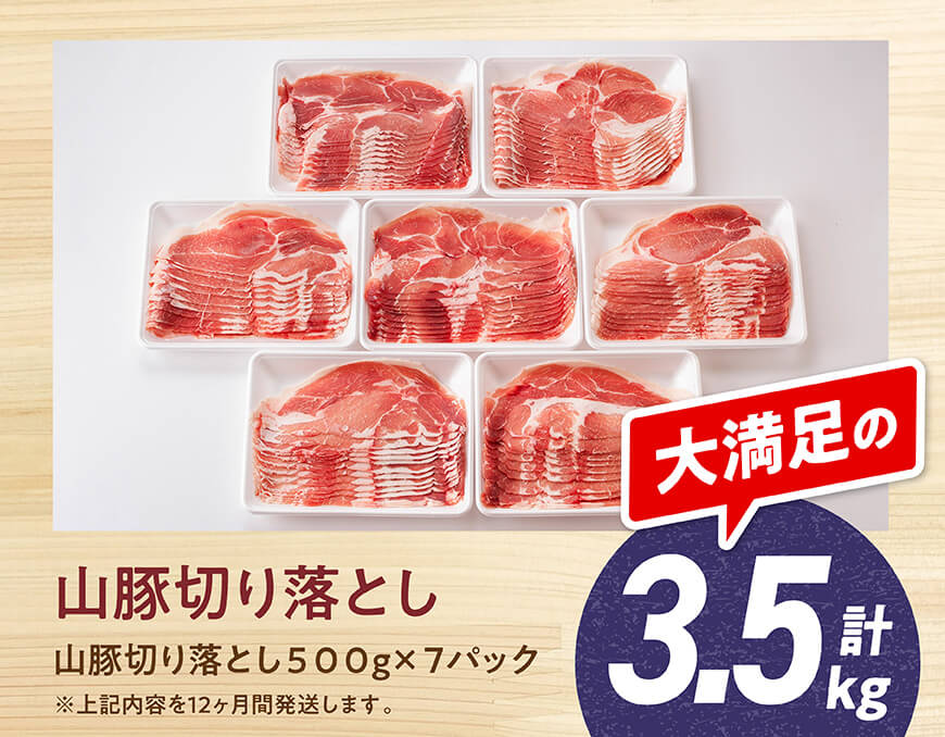 【12ヶ月定期便】宮崎県産豚肉「きじょん山豚」切り落とし　計3.5kg（500g×7パック）【 肉 豚 豚肉 切り落とし 】