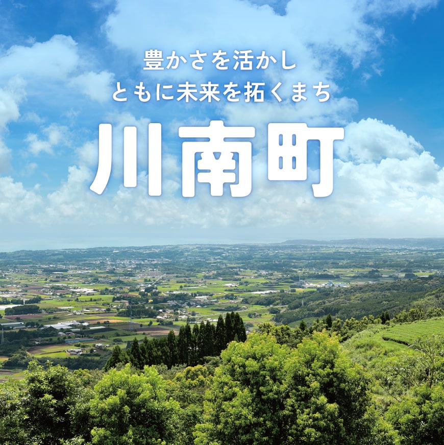 【 小分け 】 宮崎県産 若鶏 2kg 【 もも むね ささみ セット 鶏肉 とり肉 ごはん 料理 】