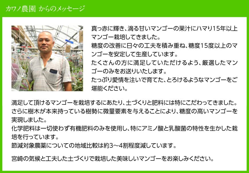 【令和8年発送】宮崎県産完熟マンゴー「果実の宝石」　4L×2玉 【 果物 フルーツ マンゴー 宮崎県産 みやざきマンゴー 先行予約 数量限定 期間限定 】