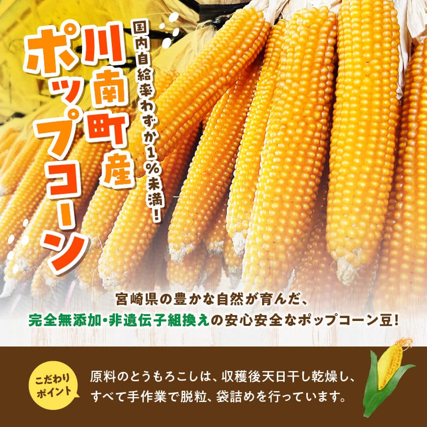 国産ポップコーン用（乾燥とうもろこし）　250g（個包装50g×5パック） 【 数量限定 期間限定 宮崎県産 ポップコーン 】