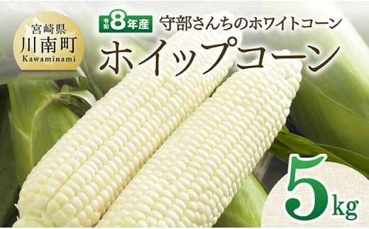 【令和8年発送】宮崎県産とうもろこし　守部さんちのホワイトコーン「ホイップコーン」5kg 【 とうもろこし ホワイトコーン トウモロコシ ホイップコーン 令和8年発送 先行予約 数量限定 期間限定 】
