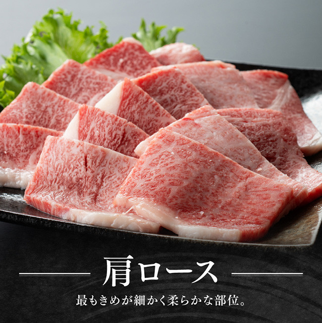 宮崎牛 赤身 霜降り 焼肉 2種 400g【肉 牛肉 国産 宮崎県産 黒毛和牛 和牛 焼肉 やきにく BBQ 4等級  A4ランク うで 肩ロース ロース  E11105】