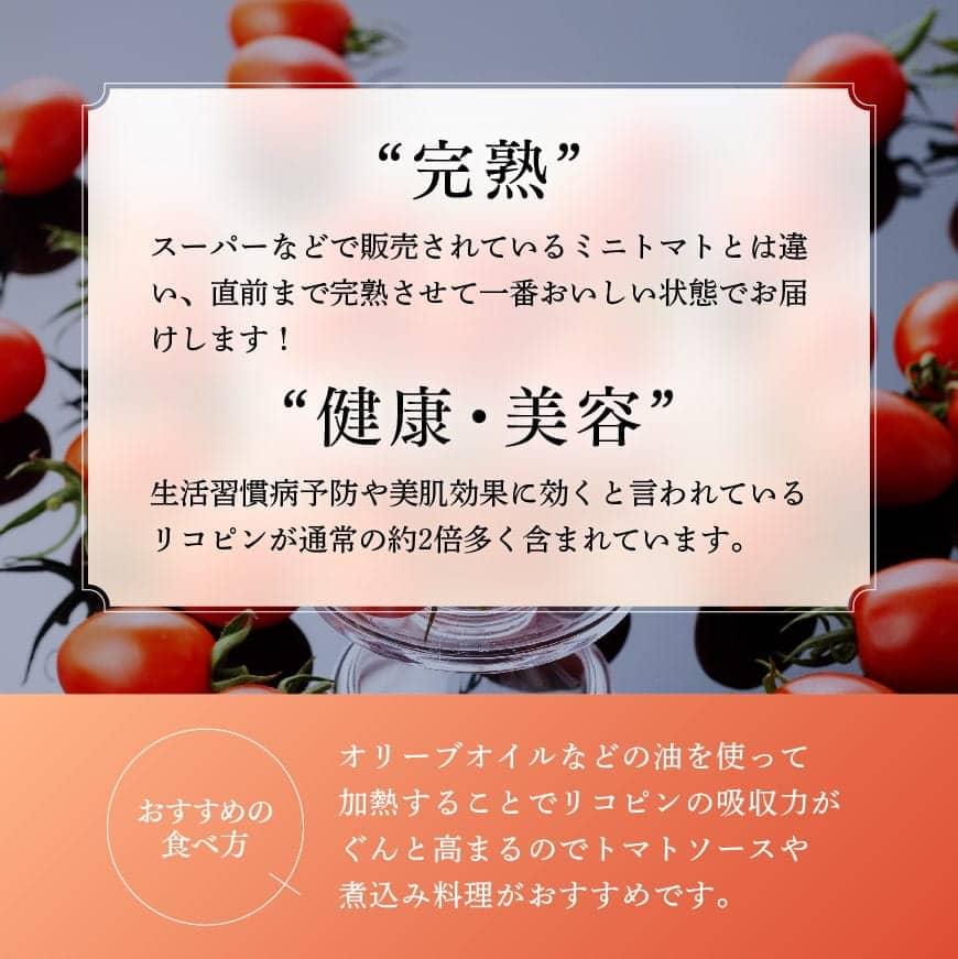 【6ヶ月定期便】【訳あり】宮崎県産ミニトマト 潤いミネラルトマト「リッチスイート」3kg ※初回発送は令和6年12月※ 【 九州産 川南町産 ミニトマト 新鮮 ヘルシー とまと 野菜 】