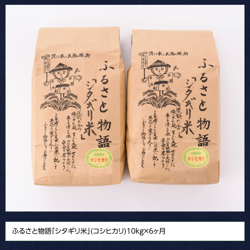 【6ヶ月定期便】※毎月20日頃発送※【令和6年産】宮崎県産こしひかり 「シタギリ米」 5kg×2 【 お米 新米 2024年産 定期便 全6回 】