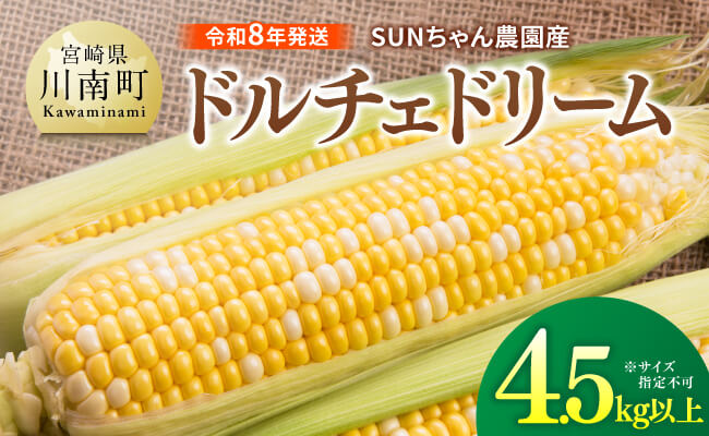 【令和８年発送】SUNちゃん農園産「ドルチェドリーム4.5kg以上（サイズ指定不可）」 【 とうもろこし スイートコーン トウモロコシ スィートコーン 令和8年発送 】