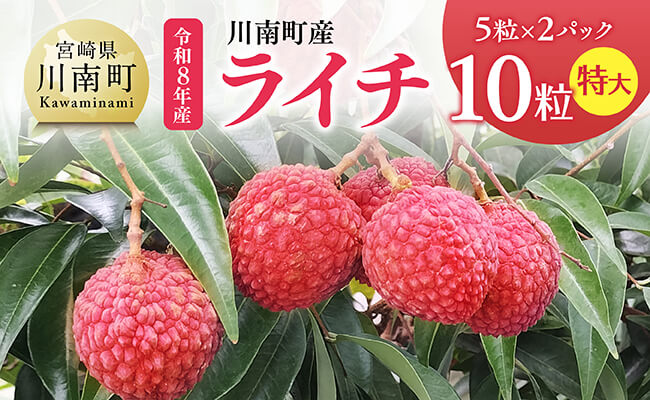 [令和8年産]川南町産ライチ(特大)10粒(5粒×2パック) [ 国産ライチ フルーツ デザート 宮崎県産 ]