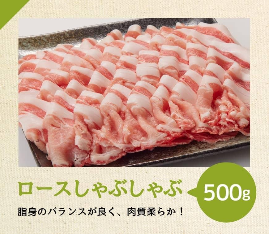 【6ヶ月定期便】宮崎県産豚肉バラエティ4種セット2.5kg【 肉 豚 豚肉 ロース バラ 切り落とし 】