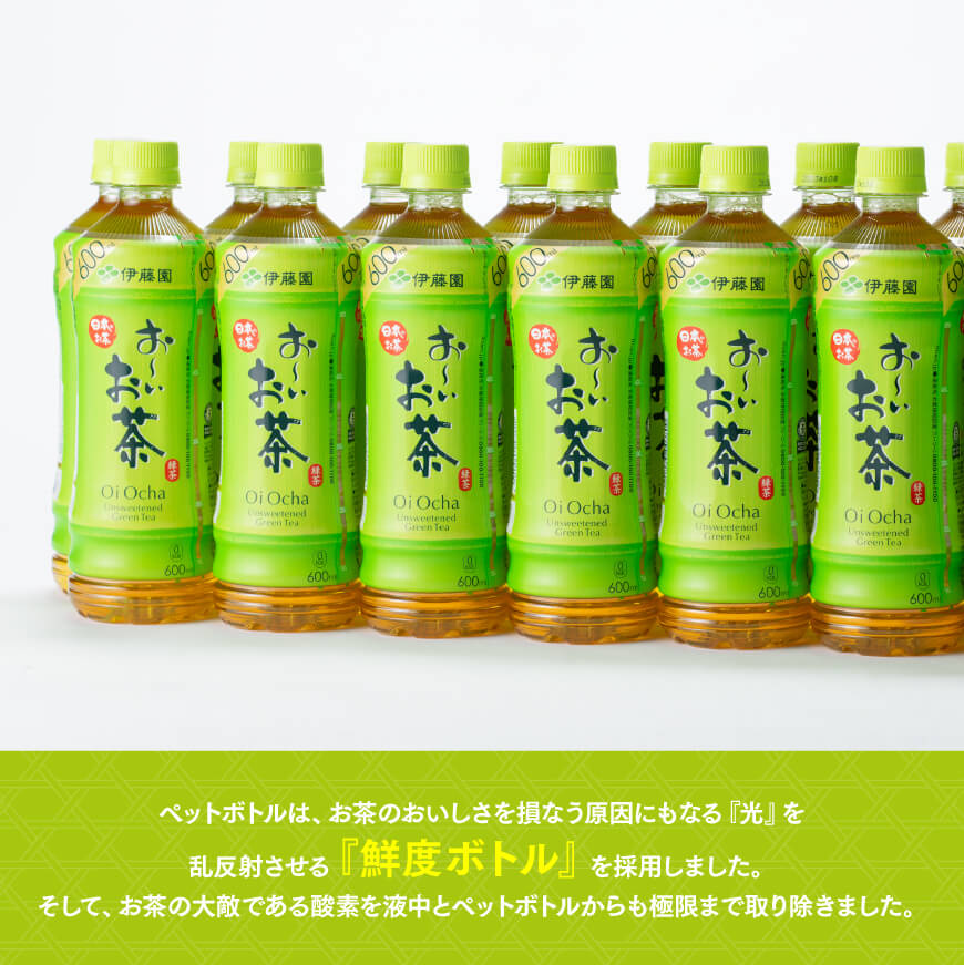 【6ヶ月定期便】おーいお茶 緑茶600ml×24本 PET【 飲料 飲み物 ソフトドリンク お茶 ペットボトル 備蓄 全6回 送料無料】宮崎県川南町