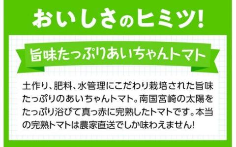 【令和7年発送】【訳あり】宮崎県産フルーツトマト「あいちゃん」3kg 【 野菜 ミニトマト とまと 宮崎県産 川南町産 野菜 産地直送 新鮮 数量限定 】