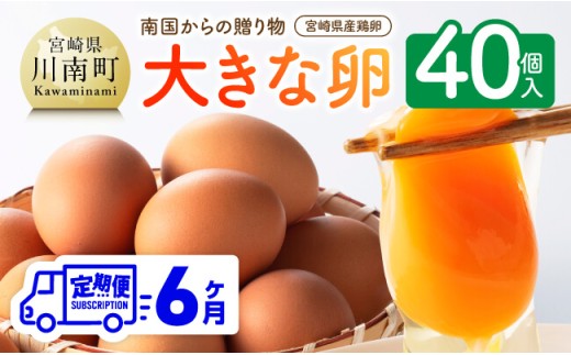 縲6繝カ譛亥ョ壽悄萓ソ縲大ョョ蟠守恁逕」鮓丞嵯縲縲悟漉蝗ス縺九i縺ョ雍医j迚ゥ縲榊、ァ縺阪↑蜊オ40蛟句・繧奇シ35蛟+遐エ謳崎」懷─5蛟具シ 縲 蜊オ 縺溘∪縺 譁ー魄ョ 縺翫≧縺。縺斐ッ繧 繧ソ繝槭ざ 縺翫≧縺。譎る俣 縲