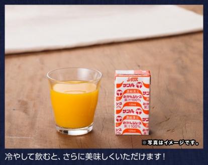 『サンAみかんジュース』125ml×48本セット【ジュース フルーツジュース 果汁100％ 果汁 飲料 みかん】