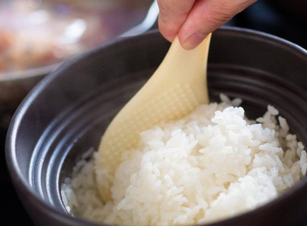 【6ヶ月定期便】※毎月20日頃発送※【令和6年産】宮崎県産こしひかり「シタギリ米」 5kg【 お米 新米 2024年産 定期便 全6回 】