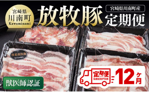 【12ヶ月定期便】宮崎県川南町産 放牧豚定期便 【 豚 肉 豚肉 国産 九州産 宮崎県産 川南町 加工品 セット 送料無料 】