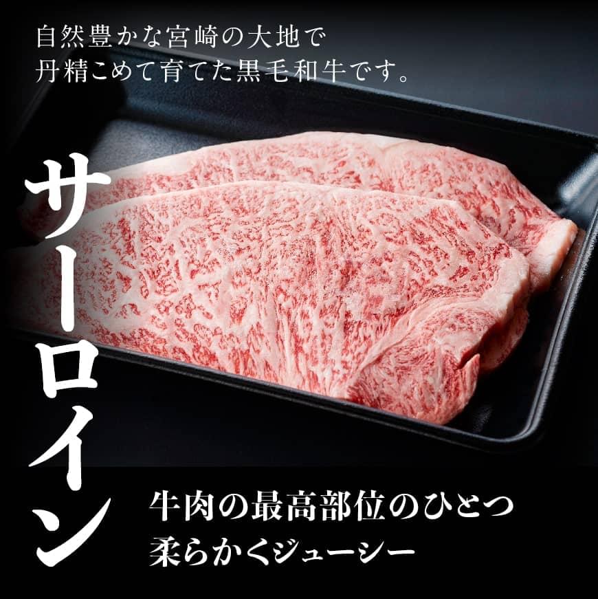 宮崎県産 黒毛和牛 サーロイン ステーキ 400g 【 ミヤチク 牛 肉 牛肉 国産 九州産 宮崎県産 黒毛和牛 和牛 サーロイン ステーキ 】