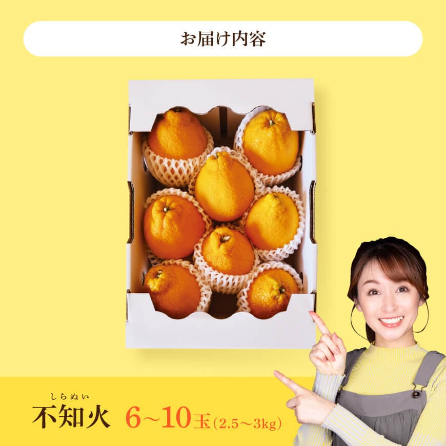 宮崎県川南町産「不知火（しらぬい）」６～１０玉 【 先行予約 季節限定 果物 くだもの フルーツ しらぬい 不知火 みかん 】