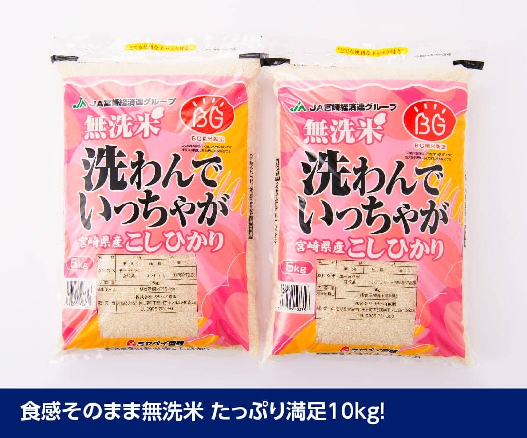 【令和6年産】 宮崎県産 無洗米こしひかり10kg【 米 国産 九州産 宮崎県産 おにぎり おべんとう おかず 時短 送料無料  】