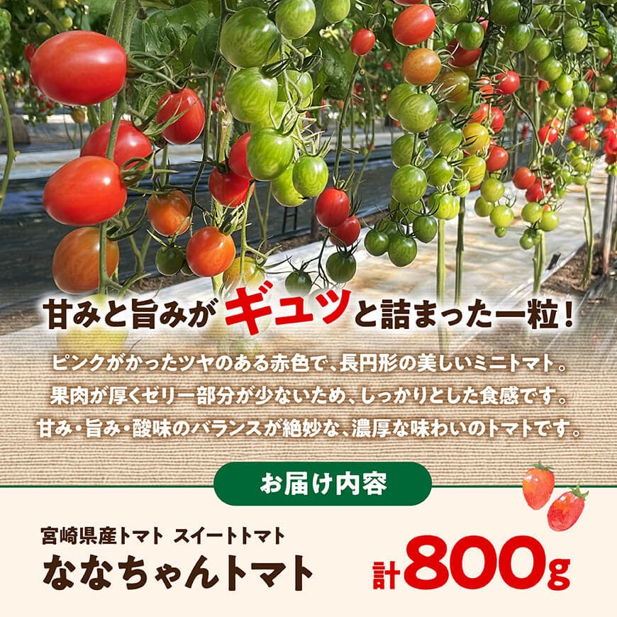 宮崎県産トマト　スイートトマト「ななちゃんトマト」800ｇ 【 トマト とまと ななちゃん 野菜 】