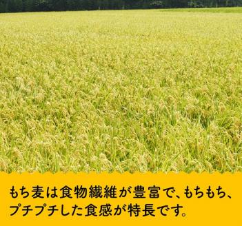 令和5年産 もち麦 2.5kg（500g×5袋）【国産 麦 もち麦 食物繊維】