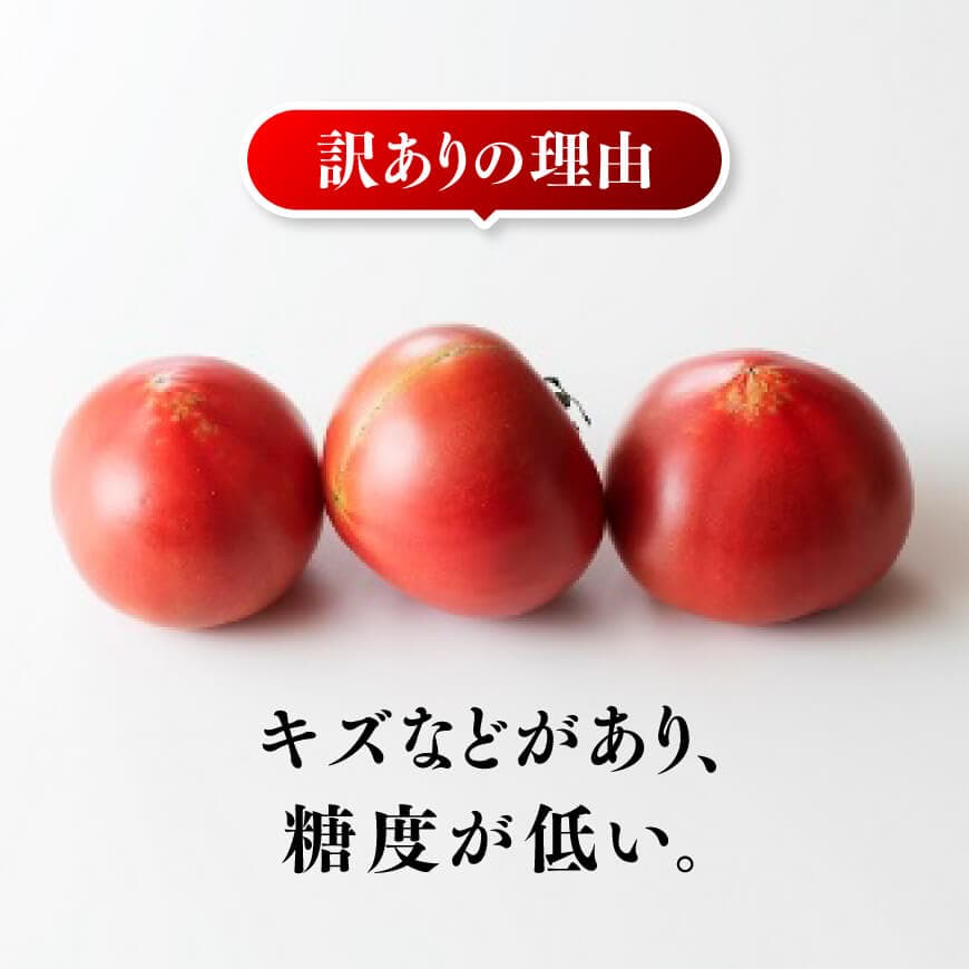 【訳あり】宮崎県産とまと 川南町産トマト１ｋｇ（９～１８個） 【 宮崎県産 九州産 川南町産 トマト とまと 野菜 ヘルシー 訳あり わけあり 】