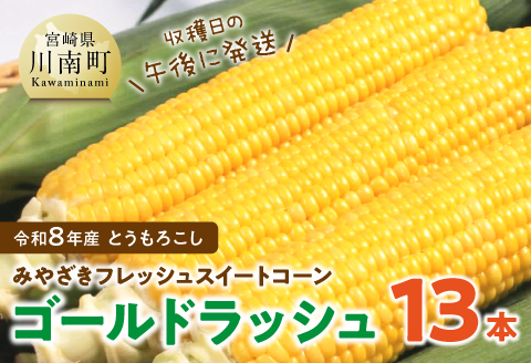 【令和8年発送】　宮崎県産とうもろこし　みやざきフレッシュスイートコーン「ゴールドラッシュ」13本 【 新鮮 朝どれ 農家直送 トウモロコシ 産地直送 期間限定 数量限定 真空予冷 JA 】