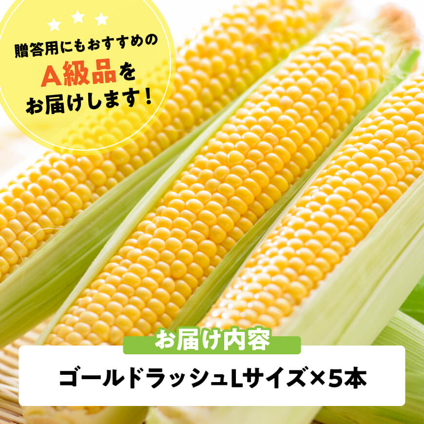 【令和7年発送】宮崎県産とうもろこし　スイートコーン「ゴールドラッシュ」L×5本【新鮮 農家直送 トウモロコシ 産地直送 季節限定 期間限定 宮崎県産 九州産】