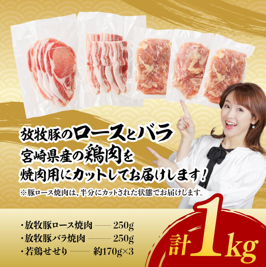 宮崎県産 「 放牧豚 ＆ 若鶏 」焼肉 セット 1kg 【 豚肉 豚 肉 鶏肉 鶏 肉 国産 宮崎県産 ロース バラ 小肉 】