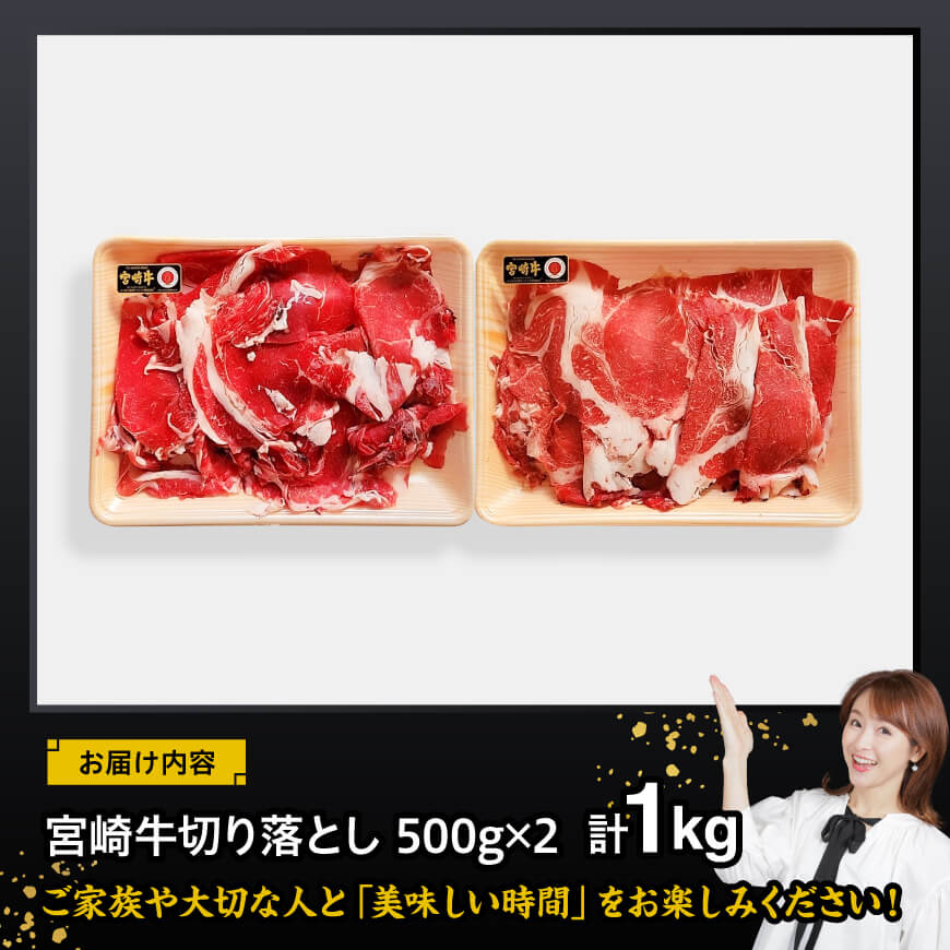 宮崎 牛切り落とし 1kg【 肉 牛肉 国産 宮崎県産 黒毛和牛 和牛 切り落とし 】
