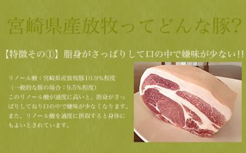 【定期便】宮崎の放牧豚 定期便A　12ヶ月定期便【肉 豚肉 国産 九州産 宮崎県産 豚しゃぶ 焼肉 とんかつ ステーキ 全12回】