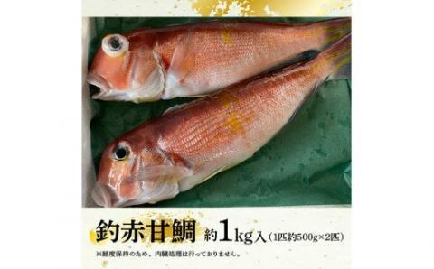 『釣赤甘鯛 Ａ』 【鮮魚 さかな 九州 宮崎 川南町 新鮮 魚介 海の幸  魚 G4405】