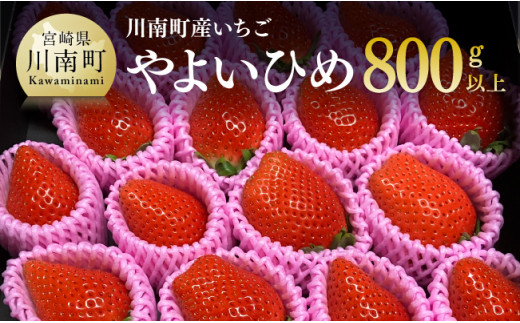 川南町産いちご「やよいひめ」計800ｇ【 先行予約 期間限定 果物 イチゴ 苺 フルーツ 】