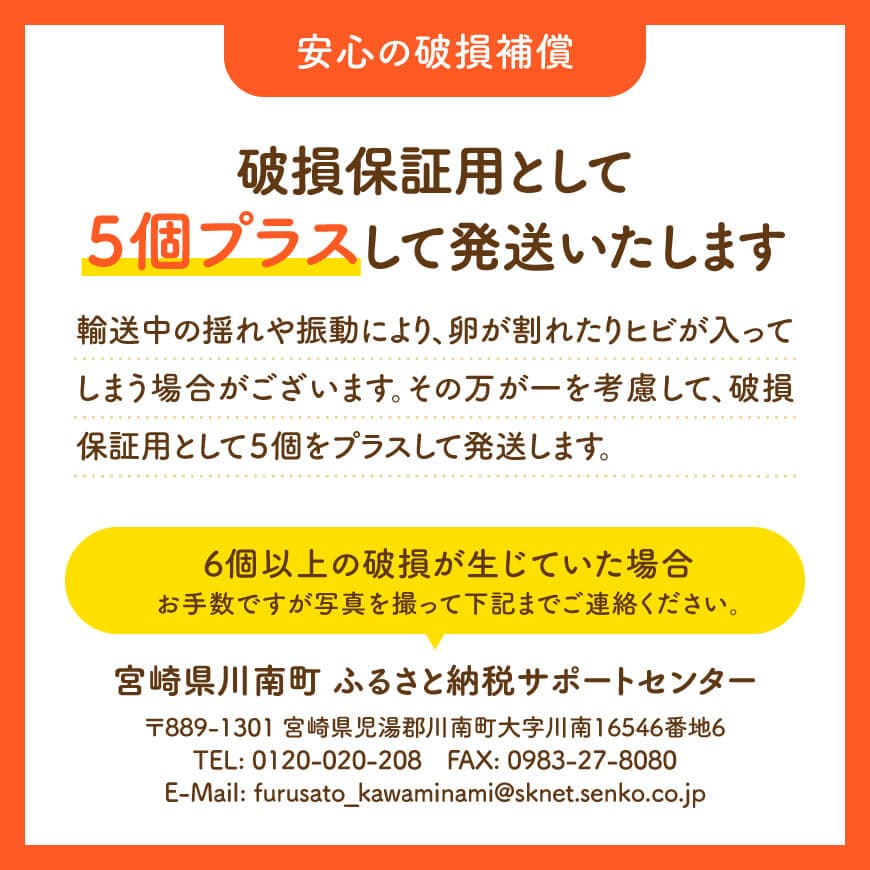 縲3繝カ譛亥ョ壽悄萓ソ縲 螳ョ蟠守恁逕」鮓丞嵯 縲悟漉蝗ス縺九i縺ョ雍医j迚ゥ縲榊、ァ縺阪↑蜊オ40蛟句・繧奇シ35蛟+遐エ謳崎」懷─5蛟具シ 縲 蜊オ 縺溘∪縺 譁ー魄ョ 縺翫≧縺。縺斐ッ繧 繧ソ繝槭ざ 縺翫≧縺。譎る俣 縲