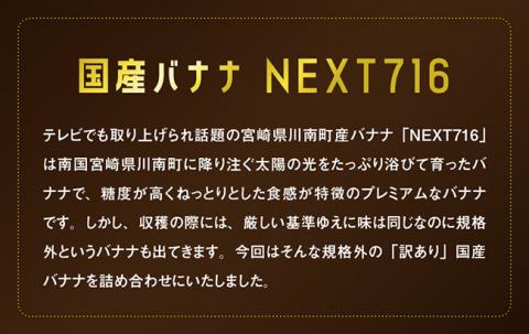 【訳あり】国産バナナ１ｋｇ（10本〜13本程度）【国産 バナナ 無農薬 フルーツ 果物 デザート 朝食 スムージー 川南町】