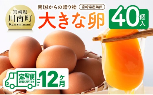 縲12繝カ譛亥ョ壽悄萓ソ縲大ョョ蟠守恁逕」鮓丞嵯縲縲悟漉蝗ス縺九i縺ョ雍医j迚ゥ縲榊、ァ縺阪↑蜊オ40蛟句・繧奇シ35蛟+遐エ謳崎」懷─5蛟具シ 縲 蜊オ 縺溘∪縺 譁ー魄ョ 縺翫≧縺。縺斐ッ繧 繧ソ繝槭ざ 縺翫≧縺。譎る俣 縲