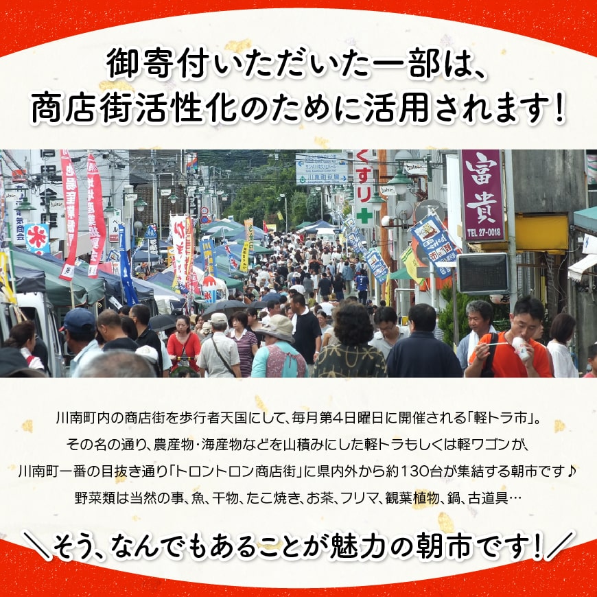 宮崎県産鶏もも肉＆小肉（せせり）の炭火焼８パック【 国産 九州産 鶏肉 肉 とり モモ セセリ 小肉 普段使い おかず 】