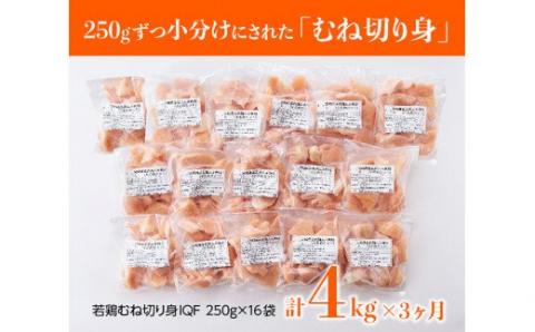 【定期便】宮崎県産 若鶏 むね肉 切身 4kg (250g×16袋) 3ヶ月定期便 【国産 九州産 鶏肉 肉 とり ムネ肉 小分け カット済み たっぷり 大容量 全3回】