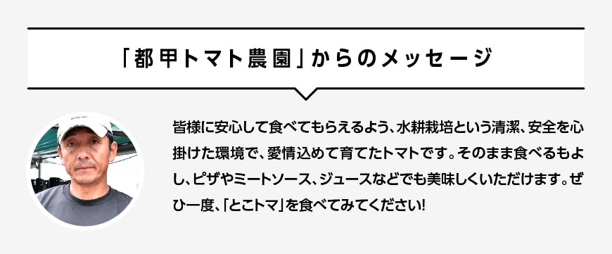 宮崎県産トマト　とこうさんのトマト1kg（9～18個） 【 宮崎県産 九州産 川南町産 トマト とまと 野菜 ヘルシー】