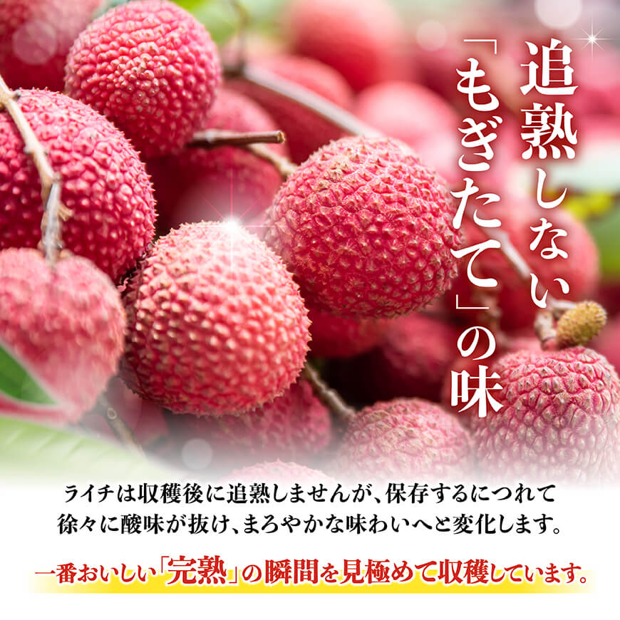 ã什å8幎ç£ãå·åçºç£ã©ã€ãïŒç¹å€§ïŒ10ç²(5ç²Ã2ããã¯) ã åœç£ã©ã€ã ãã«ãŒã ãã¶ãŒã å®®åŽçç£ ã