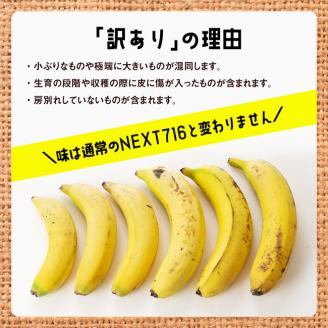 【定期便】【訳あり】国産バナナ1kg　3ヶ月定期便【国産 バナナ 無農薬 フルーツ 果物 デザート 朝食 スムージー 川南町 全3回】