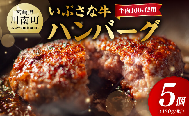 【川南町産】ブランド和牛　いぶさな牛ハンバーグ120g×5個 【 宮崎県産 牛 ハンバーグ 黒毛和牛 】
