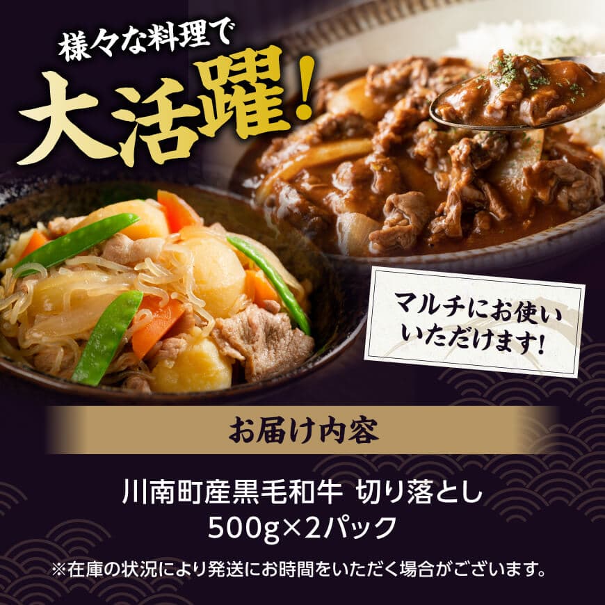 【訳あり】宮崎県産黒毛和牛　川南町産黒毛和牛切り落とし500g×2パック 【 宮崎県産 牛 牛肉 黒毛和牛 切り落とし 】