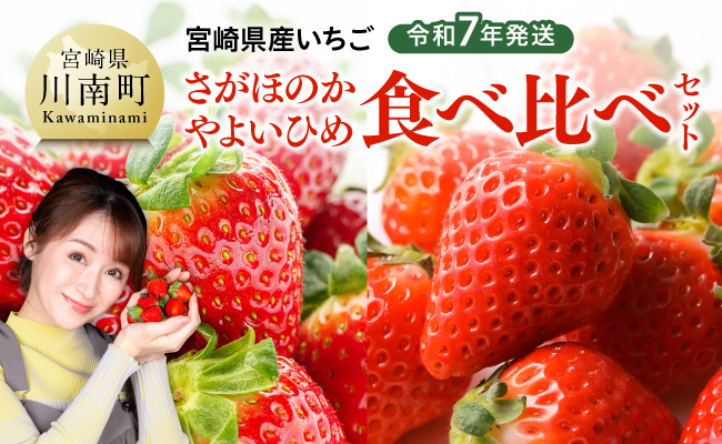 令和7年発送　宮崎県産いちご「さがほのか＆やよいひめ」食べ比べセット 【 先行予約 期間限定 果物 イチゴ 苺 フルーツ 】