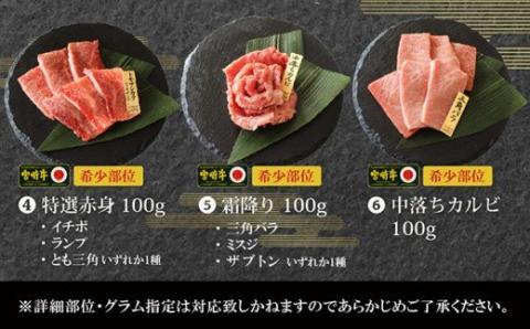 【特選】宮崎牛6種盛 焼肉食べ比べセット【肉 牛肉 国産 黒毛和牛 肉質等級4等級以上 4等級 5等級 焼肉】