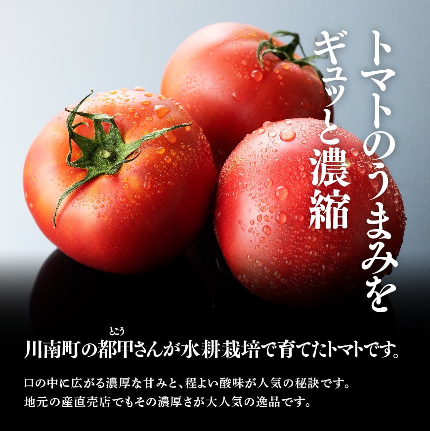 【訳あり】宮崎県産とまと 川南町産トマト１ｋｇ（９～１８個） 【 宮崎県産 九州産 川南町産 トマト とまと 野菜 ヘルシー 訳あり わけあり 】