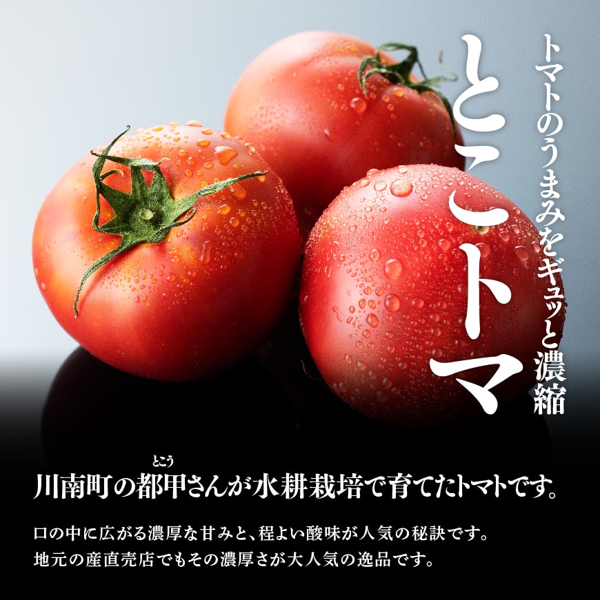 宮崎県産トマト　とこうさんのトマト1kg（9～18個） 【 宮崎県産 九州産 川南町産 トマト とまと 野菜 ヘルシー】