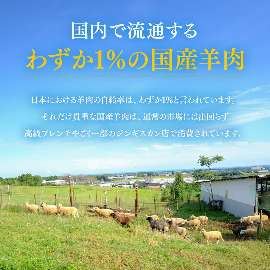 宮崎県産羊肉　寿ジンギスカン500g 【 肉 羊肉 国産 九州産 川南町産 ジンギスカン 羊 ひつじ 味付き 】