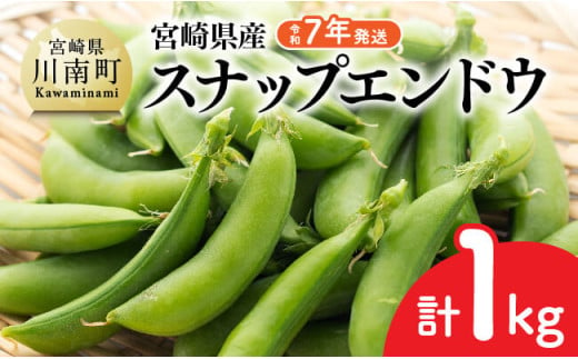 【令和7年発送】スナップエンドウ1.0kg 【 野菜 宮崎県産 川南町産 野菜 産地直送 新鮮 数量限定 】