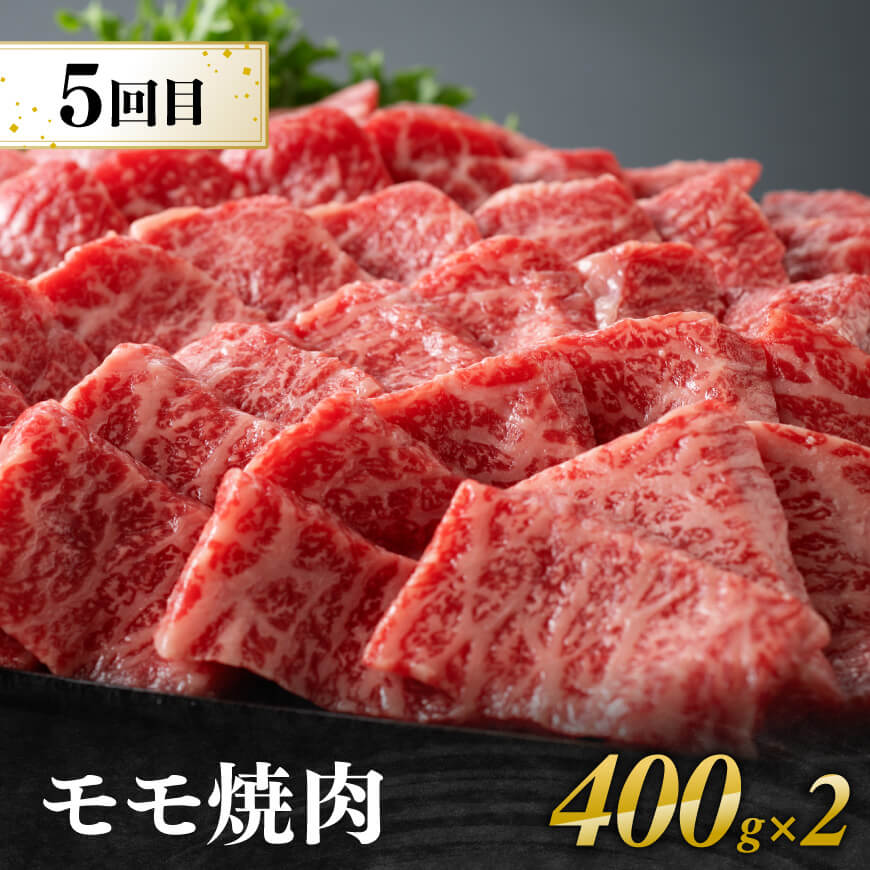 【5ヶ月定期便】厳選焼肉定期便【肉 牛肉 国産 宮崎県産 宮崎牛 焼肉 BBQ モモ ウデ 肩ロース 】