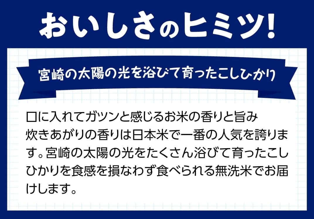 【令和6年産】 宮崎県産 無洗米こしひかり10kg【 米 国産 九州産 宮崎県産 おにぎり おべんとう おかず 時短 送料無料  】