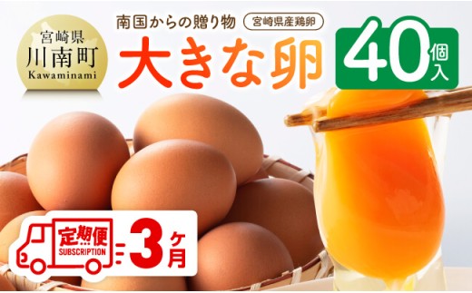 [3ヶ月定期便] 宮崎県産鶏卵 「南国からの贈り物」大きな卵40個入り(35個+破損補償5個) [ 卵 たまご 新鮮 おうちごはん タマゴ おうち時間 ]