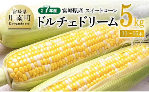 【令和７年発送】宮崎県産とうもろこし　スイートコーン「ドルチェドリーム」5kg 【 とうもろこし スイートコーン コーン とうきび 野菜 2025年発送 】